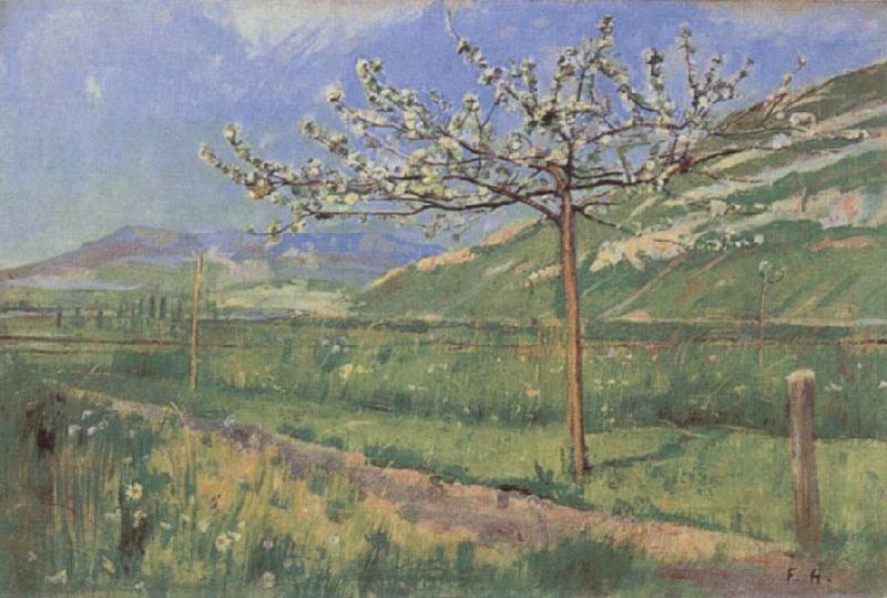 Ferdinand Hodler Apple tree in Blossom Spain oil painting art